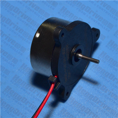 B3020S 单相无刷直流电机 B3020S 单相无刷直流电机