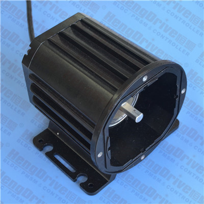 B6030P 无刷直流电机泵 B6030P 无刷直流电机泵